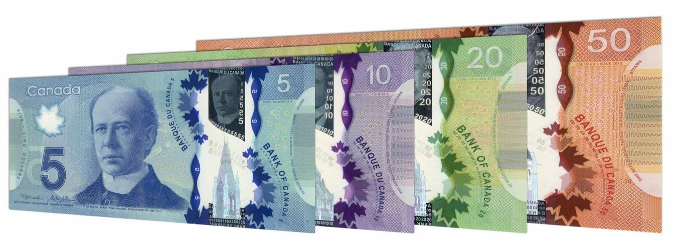 Esam Hasan's Arabic Translation Services offers Competitive Fees